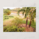 Search for stormy postcards Palm trees