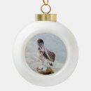 Search for pelican christmas tree decorations Birds