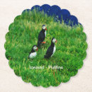 Search for puffin coasters Iceland