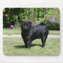 Search for alerts mouse mats Pug