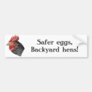 Search for no eggs bumper stickers Animals