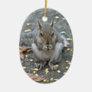 Search for grey christmas tree decorations Animal