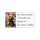 Search for yorkie puppy return address labels Yorkies