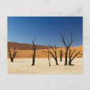Search for dead tree postcards Plant
