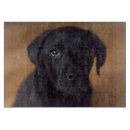 Search for labrador chopping boards Cute baby animal