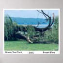 Search for weeping willow tree posters Water