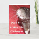 Search for dumbo cards Rats