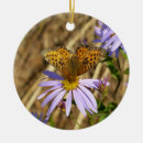 Search for aster christmas tree decorations September