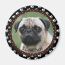 Search for pet pug magnets Pugs