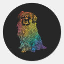 Search for tibetan spaniel Animal