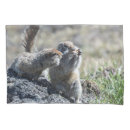 Search for squirrel pillowcases Nature