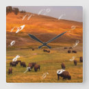 Search for vertical clocks Outdoors