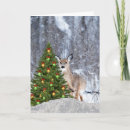 Search for whitetail deer christmas cards Winter