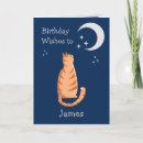 Search for ginger cat cards Fun