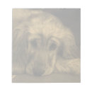 Search for dog notepads Pet