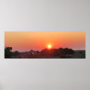 Search for sicily art Nature