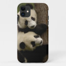 Search for baby panda iphone cases China