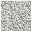 Search for willow branches Botanical