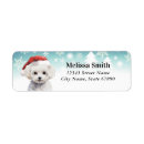Search for bichon return address labels Cute