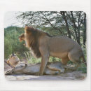 Search for panthera electronics Horizontal