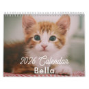 Search for kittens photography Animal lovers