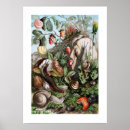 Search for snail posters Mollusc