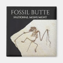 Search for fossilized magnets Geology