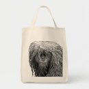 Search for orangutan accessories Illustration