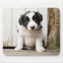 Search for bordered image mouse mats Pet