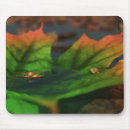 Search for orange green mouse mats Fall