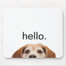 Search for hello the electronics Pet
