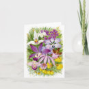 Search for dendrobium postcards Flower