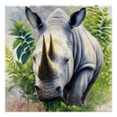 Search for rhinos posters Safari