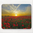 Search for poppy mouse mats Simple