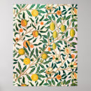 Search for vintage fruit posters Morris