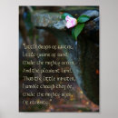 Search for little things posters Inspirational