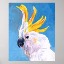 Search for cockatoo posters Exotic birds