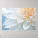 Search for chrysanthemum posters Petal