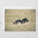Search for pasture invitations Cow