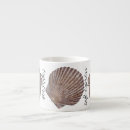 Search for shell designs mugs Sea shell photos