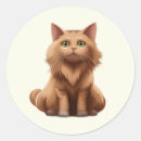 Search for ginger kitten stickers Pets