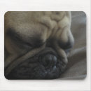 Search for frenchy mouse mats Animals