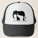 Search for elephants hats Endangered