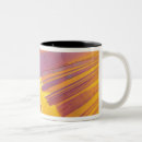 Search for acid mugs Abstract