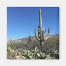 Search for southwestern magnets Nature