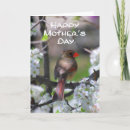 Search for bird perched on tree cards Red