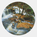 Search for large format stickers Fall
