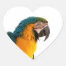 Search for macaw parrot stickers Birds