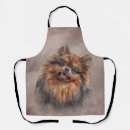 Search for pomeranian aprons Cute