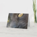 Search for fun 50th birthday cards Dog